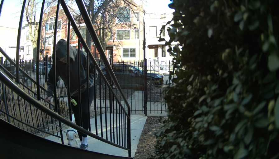 Reolink Camera Two_01_Reolink Home Hub One_20250227160041.jpg